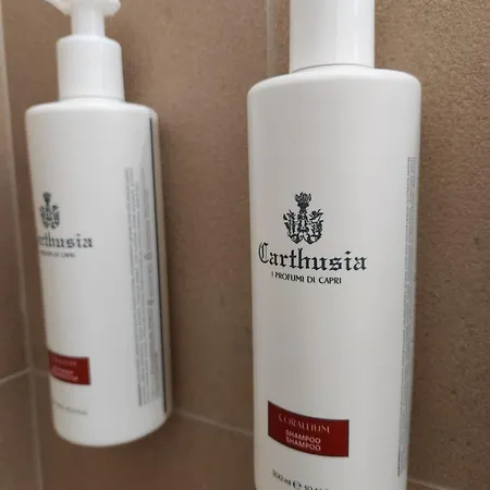 Monforte Casa de Campo *